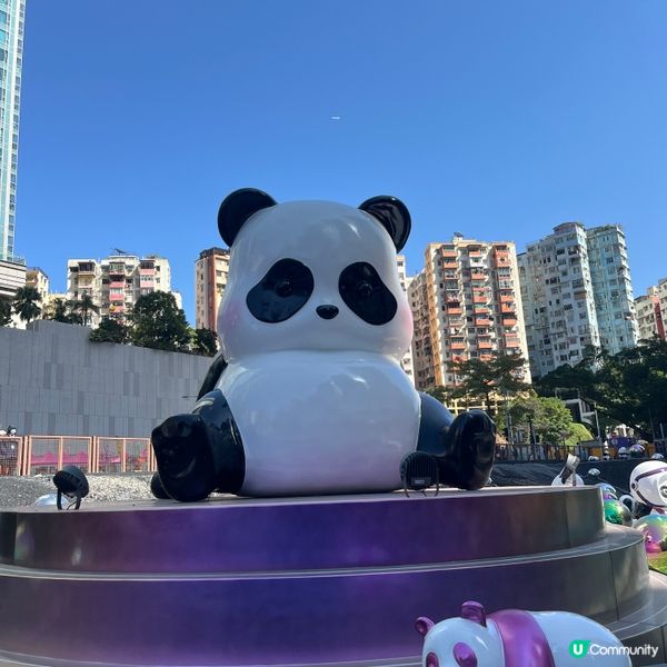 新年大吉！熊貓高照！