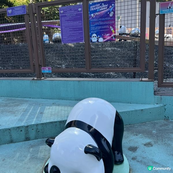 新年大吉！熊貓高照！