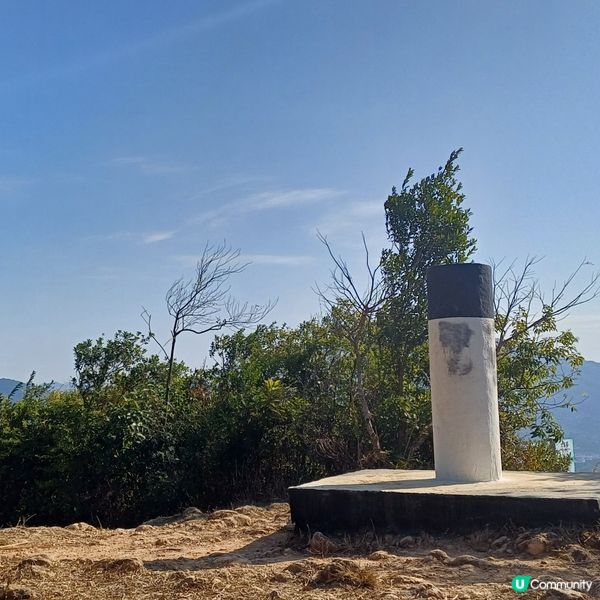 蛇年 首登 九龍坑山