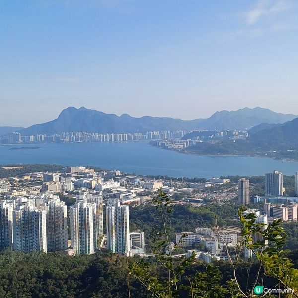 蛇年 首登 九龍坑山