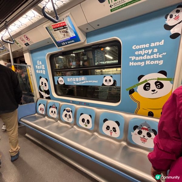 如果大家搭南港島線嘅話,有機會見到咁靚嘅熊貓車廂㗎 !初三赤...