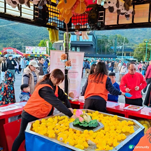 農曆新年精彩好去處丨大埔林村香港許願節