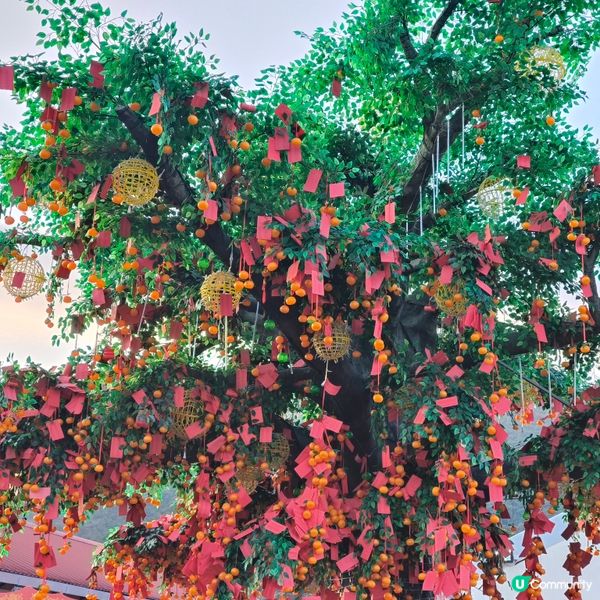 農曆新年精彩好去處丨大埔林村香港許願節