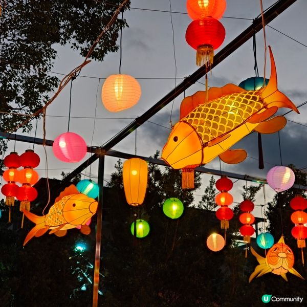 農曆新年精彩好去處丨大埔林村香港許願節