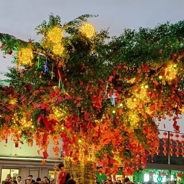 農曆新年精彩好去處丨大埔林村香港許願節