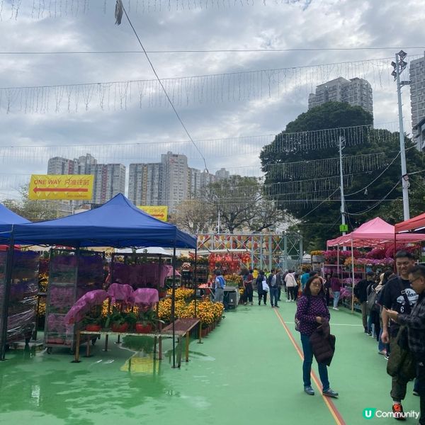 2025年上水花市開鑼🎉🎊，日與夜的回憶