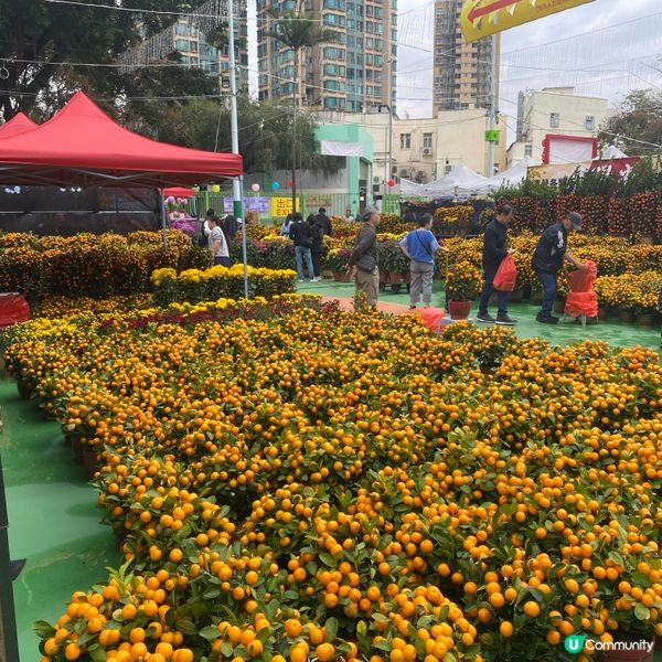 2025年上水花市開鑼🎉🎊，日與夜的回憶