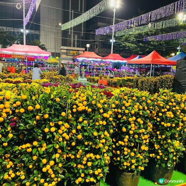 2025年上水花市開鑼🎉🎊，日與夜的回憶