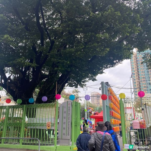 2025年上水花市開鑼🎉🎊，日與夜的回憶