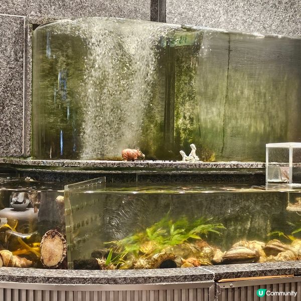 非常抵食海鮮刺身