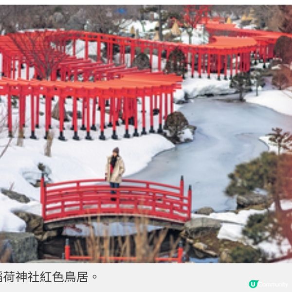 青森體驗銀白美景壯觀樹冰與雪燈籠祭