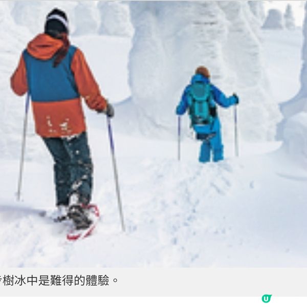 青森體驗銀白美景壯觀樹冰與雪燈籠祭