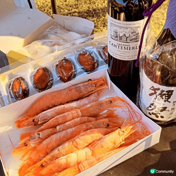 🏕 Camping Adventures with Deli...