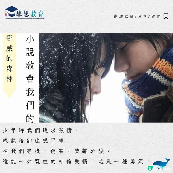 《挪威的森林 》 村上春樹丨中文sba/閱讀報告/讀後感/文學賞析/詩詞