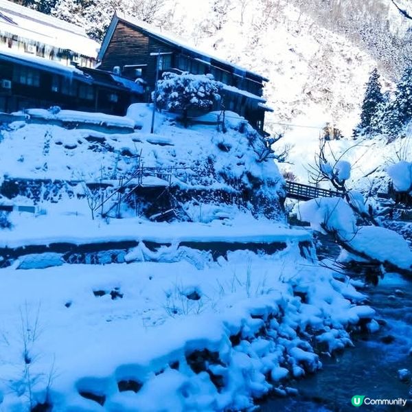 地獄谷野猿公苑~野生猴子