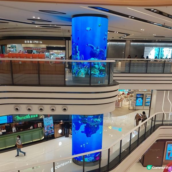 大圍圍方🍔🍣🍦🍰🛍💄🎒🧥