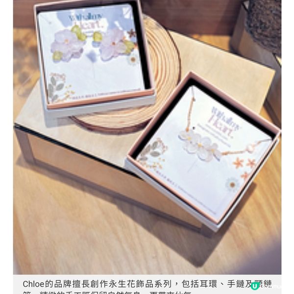 初創花藝師品牌起死回生遇良師成功進
駐寄賣店