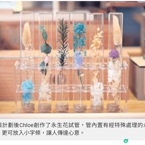 初創花藝師品牌起死回生遇良師成功進
駐寄賣店