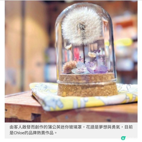 初創花藝師品牌起死回生遇良師成功進
駐寄賣店