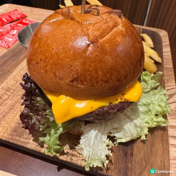 灣仔區舒適的寵物友善餐廳