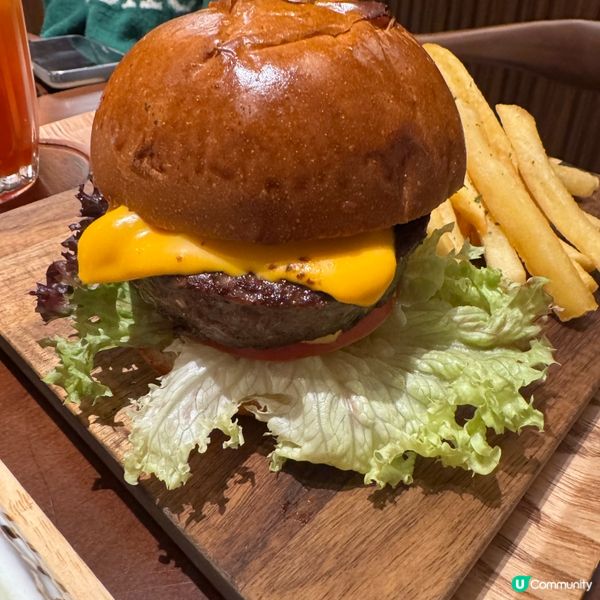 灣仔區舒適的寵物友善餐廳