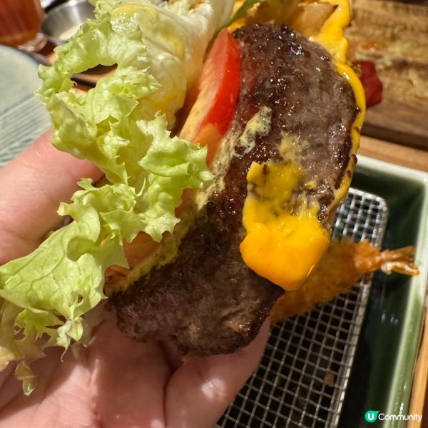 灣仔區舒適的寵物友善餐廳