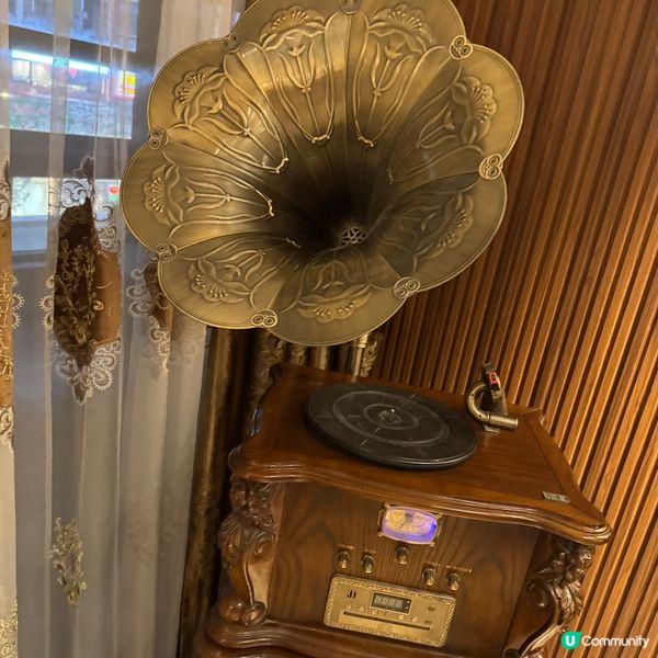 灣仔區舒適的寵物友善餐廳