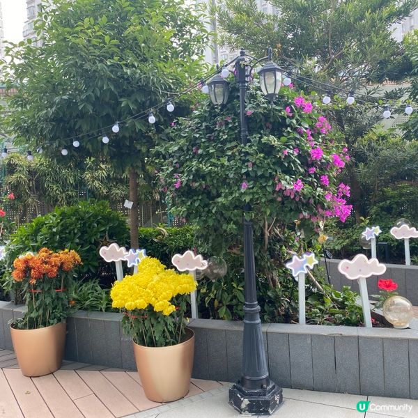 上水廣場😘Pixar Sweet Dreams😍甜夢派對🥰