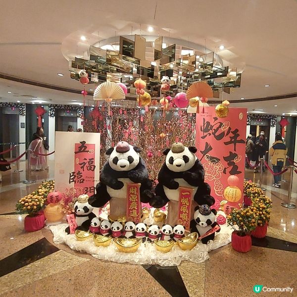 悦來酒店～🐼熊貓主題酒店  