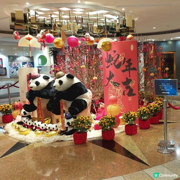 悦來酒店～🐼熊貓主題酒店  