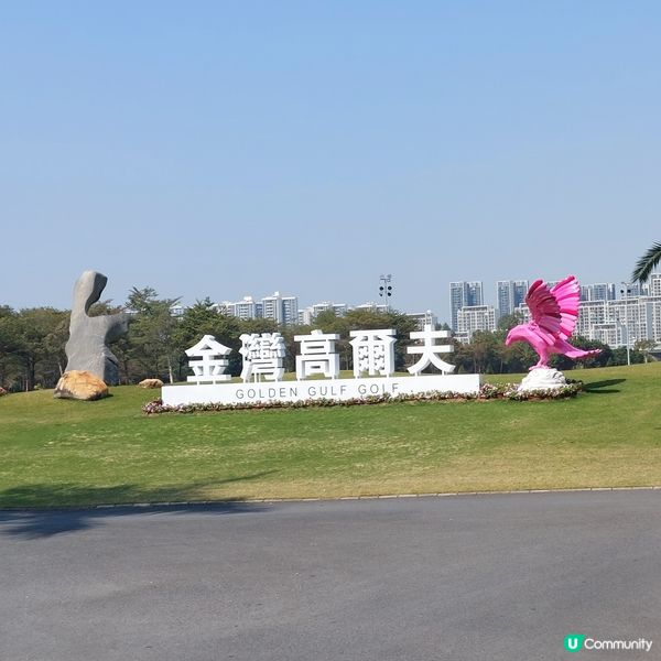金灣高爾夫球場🏌‍♂️⛳️