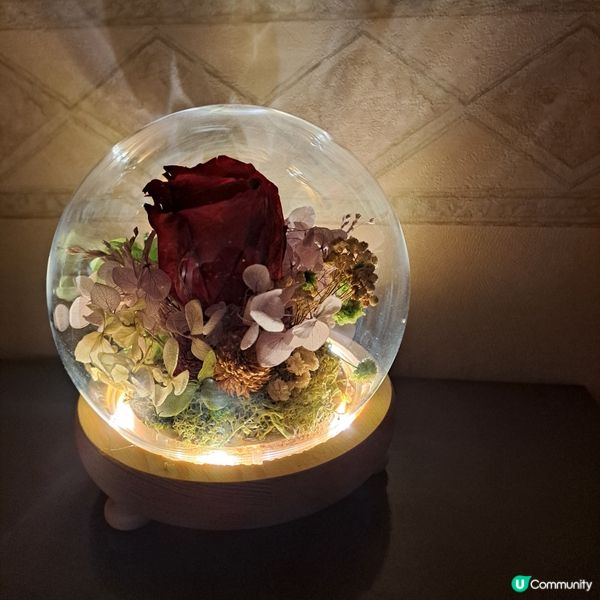 #情人節永生花燈箱🌹🫶