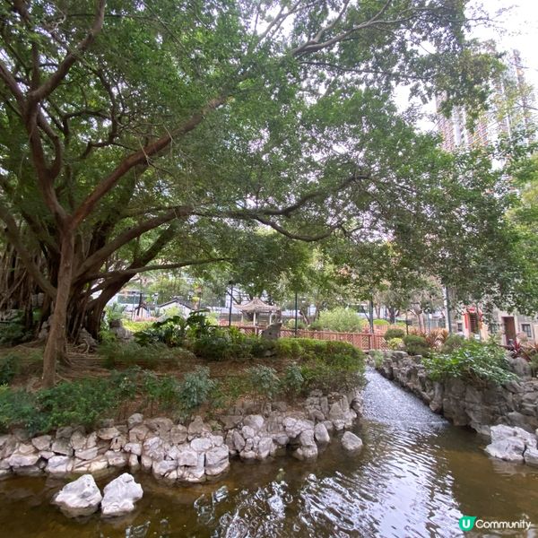 賽馬會德華公園 荃灣街坊的後花園🥰