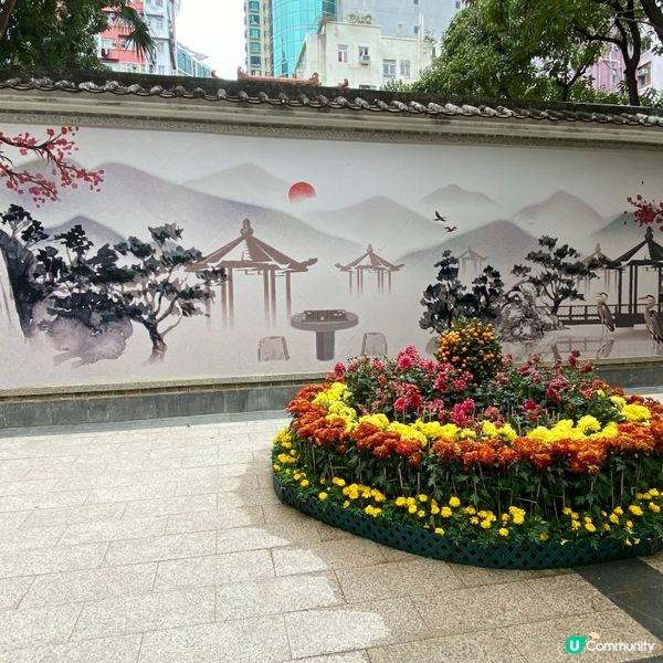 賽馬會德華公園 荃灣街坊的後花園🥰