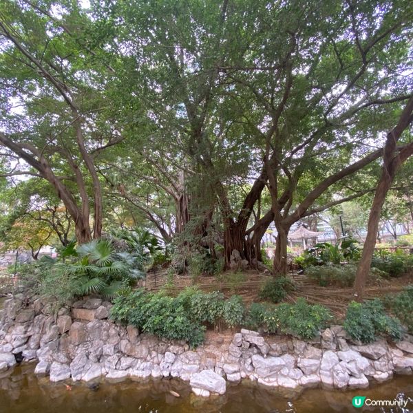 賽馬會德華公園 荃灣街坊的後花園🥰