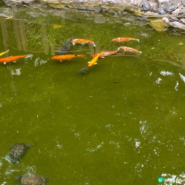 賽馬會德華公園 荃灣街坊的後花園🥰