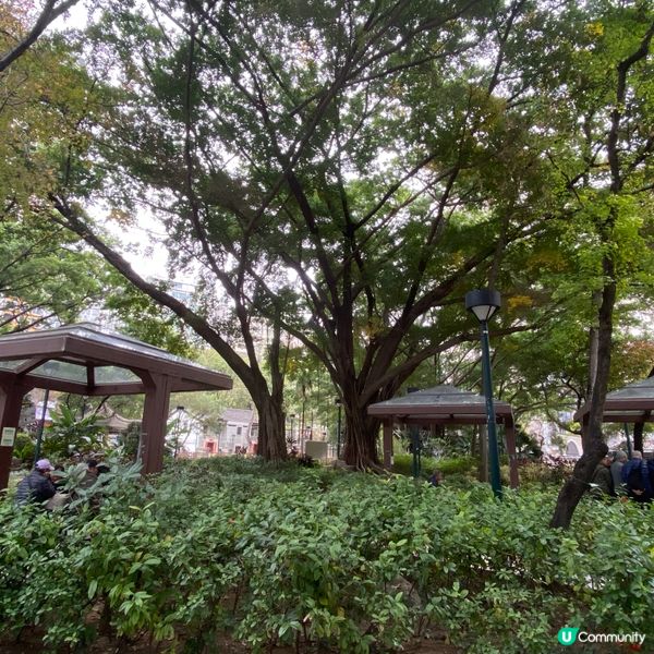 賽馬會德華公園 荃灣街坊的後花園🥰