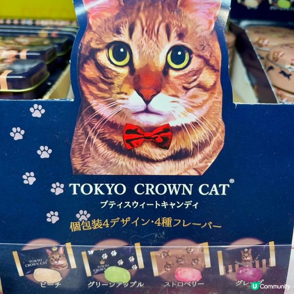 Tokyo Crown Cat 🐱 