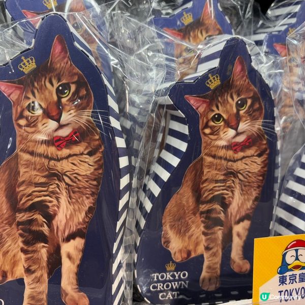 Tokyo Crown Cat 🐱 