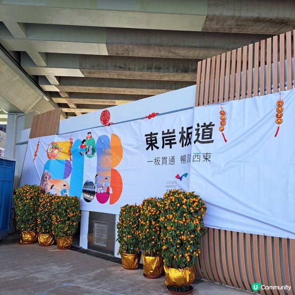 #東岸板道打卡新地標🌊