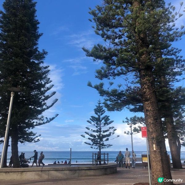 澳洲墨爾本自由行—海灘出發！