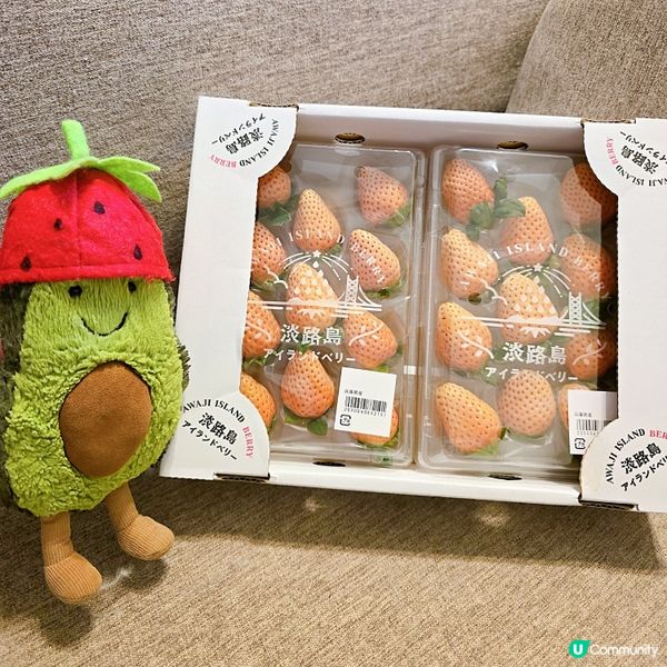 記錄食草莓#3🍓