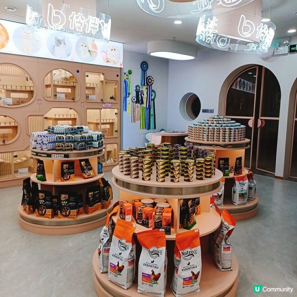 ## 深圳南山貓咪天堂！🐱 114隻貓貓任你睇！🤩