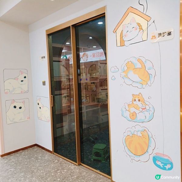 ## 深圳南山貓咪天堂！🐱 114隻貓貓任你睇！🤩