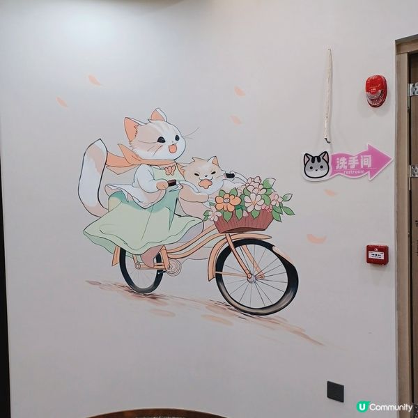 ## 深圳南山貓咪天堂！🐱 114隻貓貓任你睇！🤩