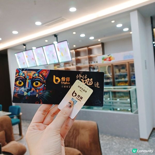 ## 深圳南山貓咪天堂！🐱 114隻貓貓任你睇！🤩