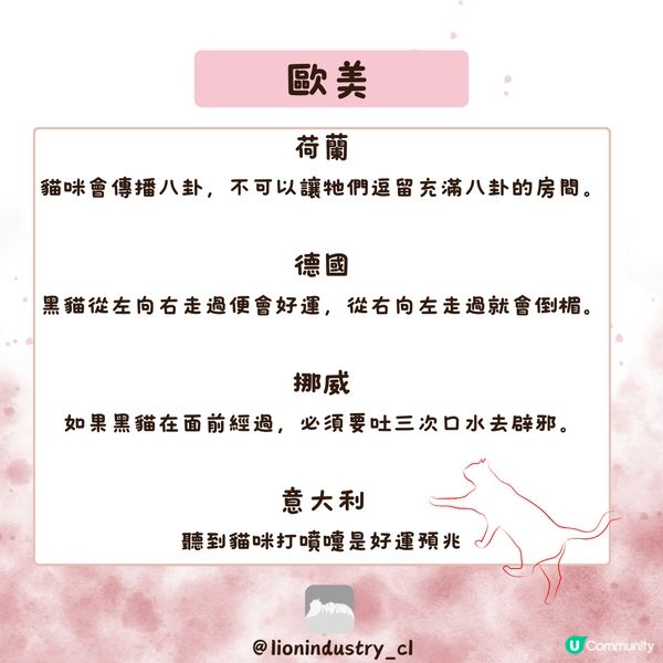 貓貓嘅迷信🐾