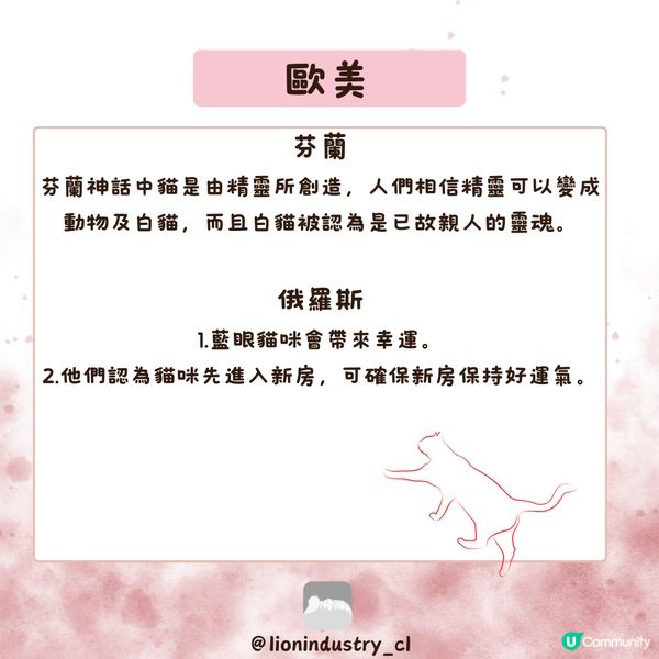 貓貓嘅迷信🐾