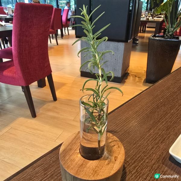 米芝蓮推介葡國菜