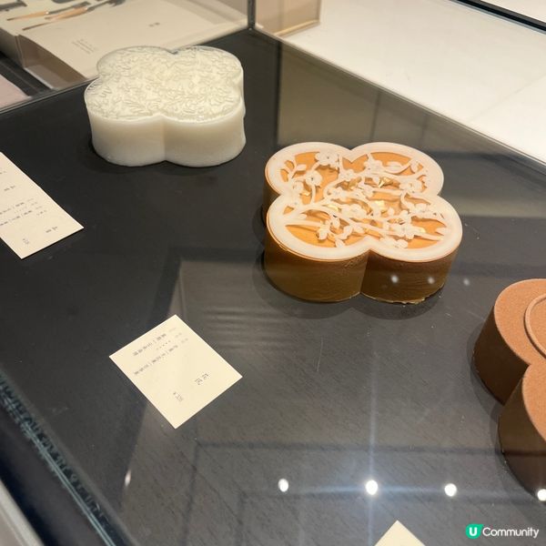 深圳巧遇高質甜品茶飲探店✨